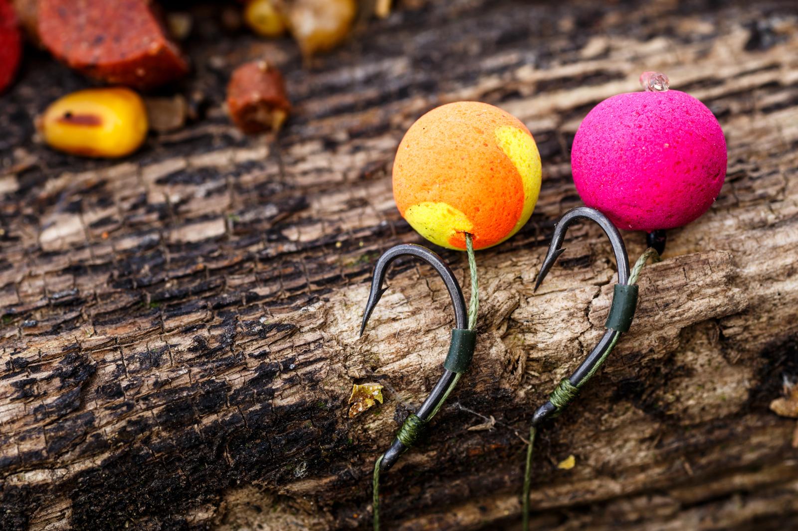 Carpfishing Craze: Why It’s Hooking Sport Enthusiasts Worldwide