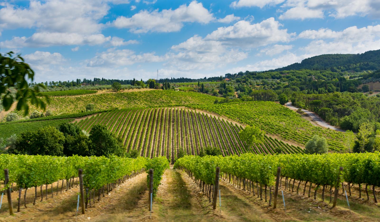 Discover Montepulciano: Your Ultimate Guide to the Must-See Attractions in Tuscany’s Jewel