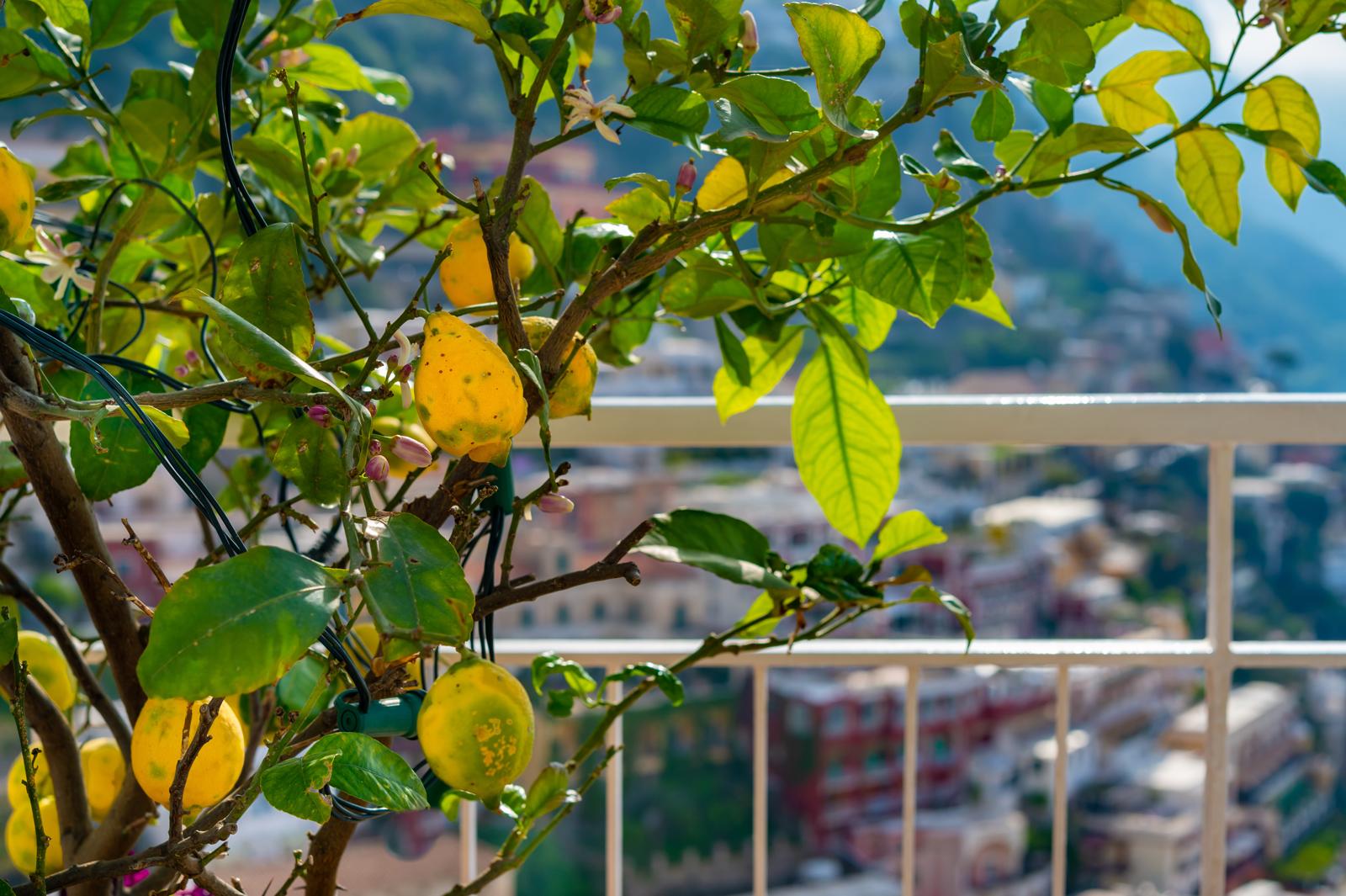 What to See in Positano: Your Ultimate Guide to the Amalfi Coast Gem