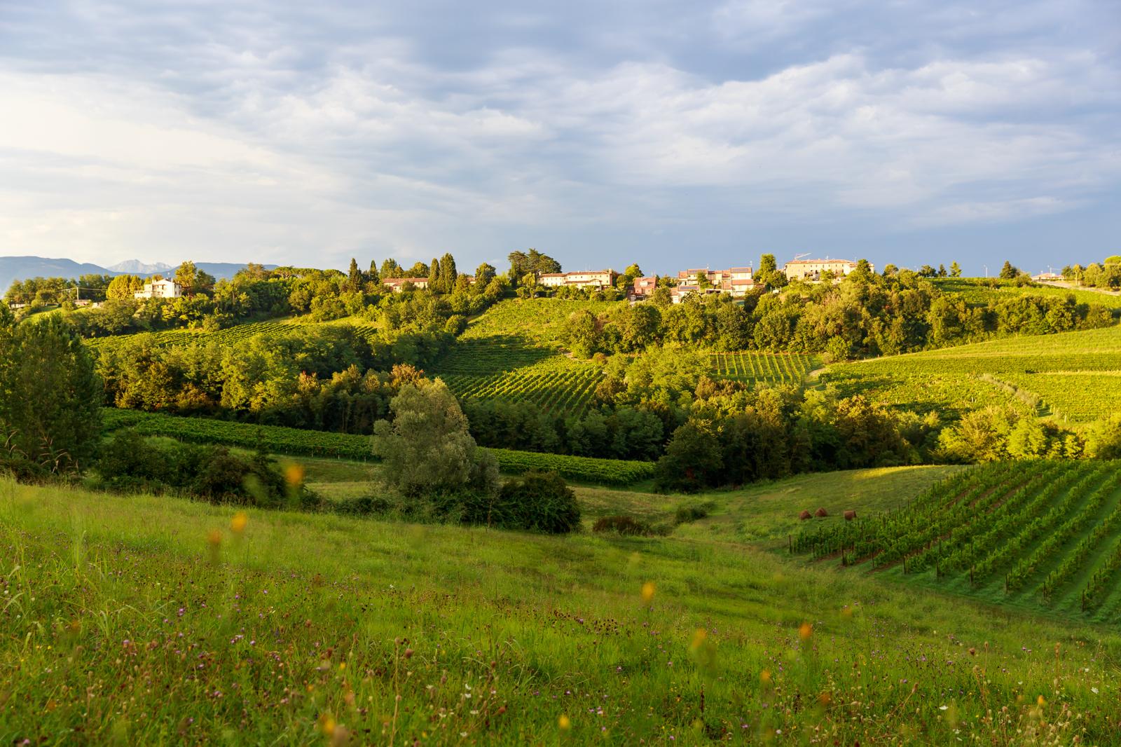 Discover Treviso: A Hidden Gem in Italy’s Veneto Region