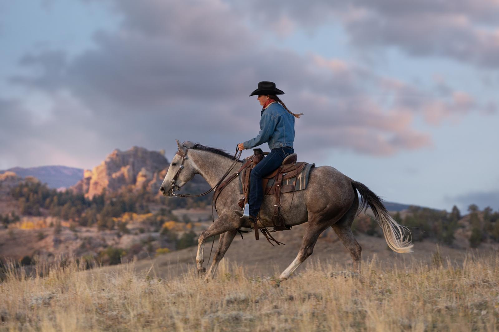 American Riding: Saddle Up for a Deep Dive into the World of U.S. Equestrian Sports