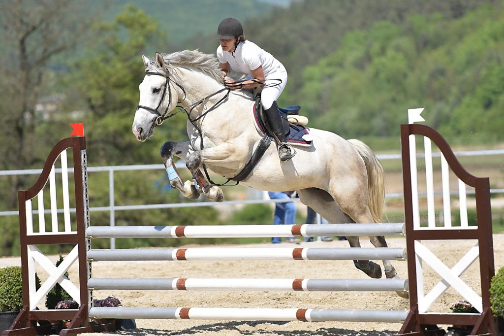 Equitazione salto