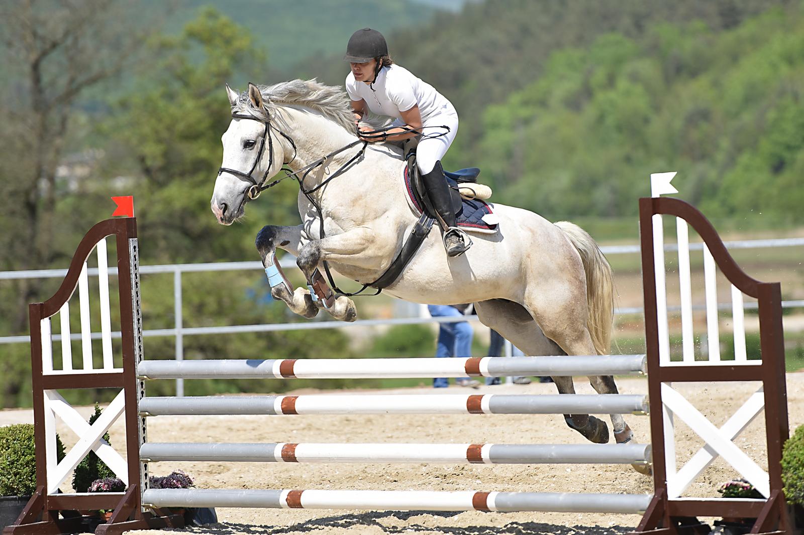 Equestrian Showjumping: Leaping into Olympic Glory