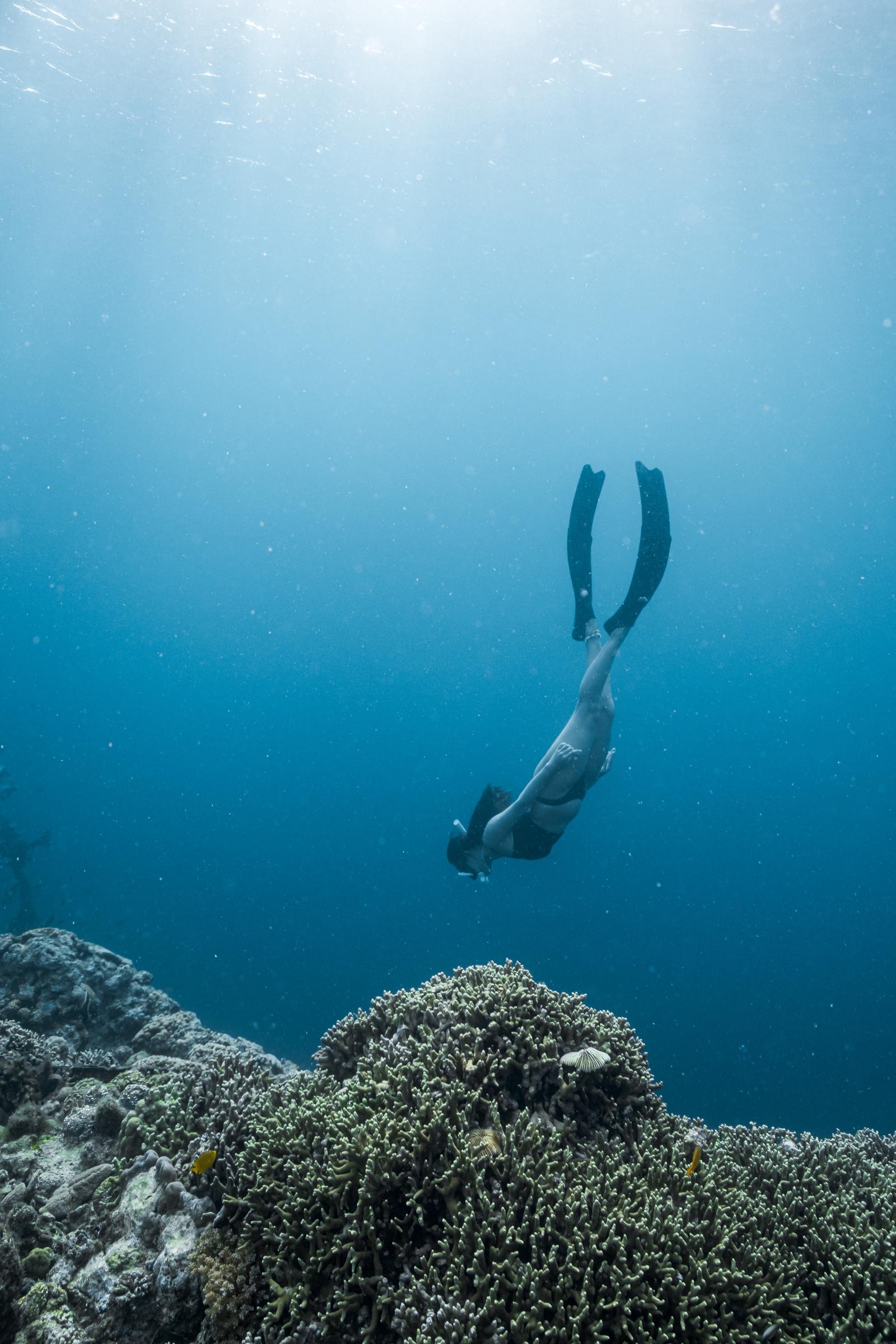 Diving into Victory: How Underwater Sports Are Making Waves