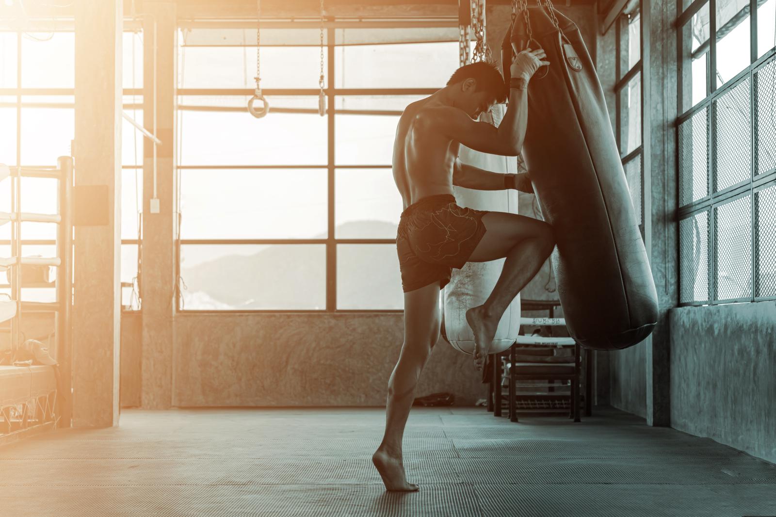 Wrestling Wonders: Defying Gravity in the Ring