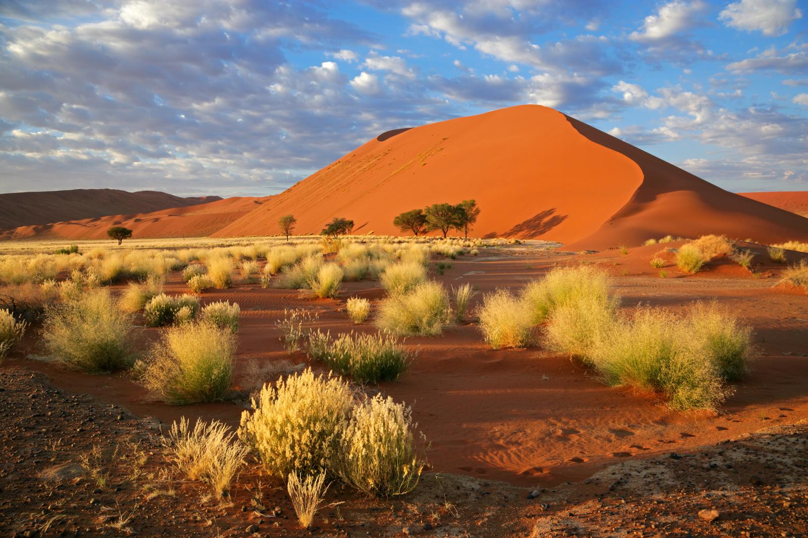 Namibia: il momento perfetto per scoprire le meraviglie selvagge