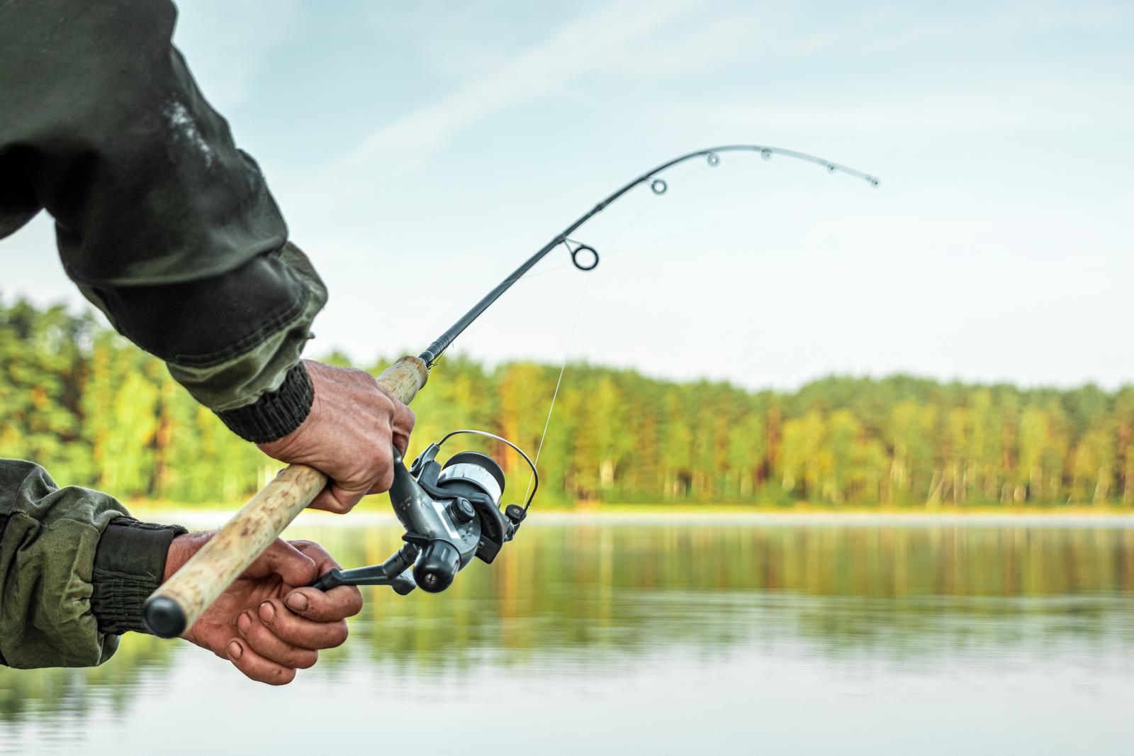 Bleak Fishing at Dawn: Unveiling the Serenity of Early Morning Angling