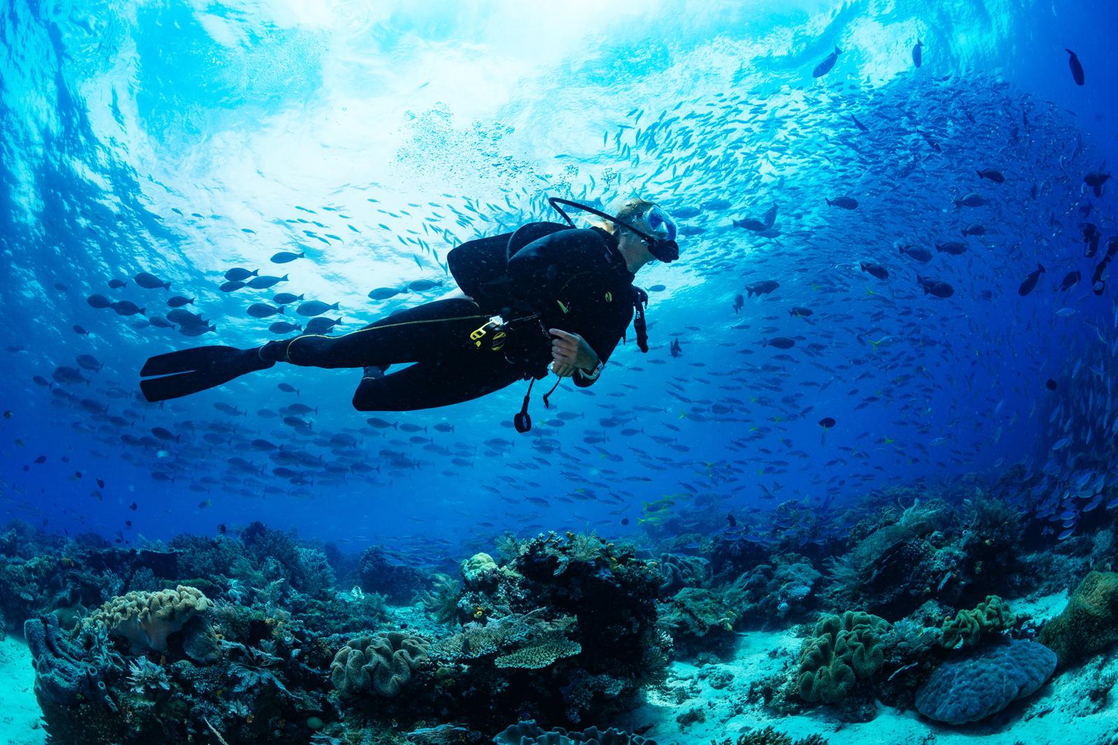 Spearfishing Sensations: Dive into the Thrill of Underwater Hunting