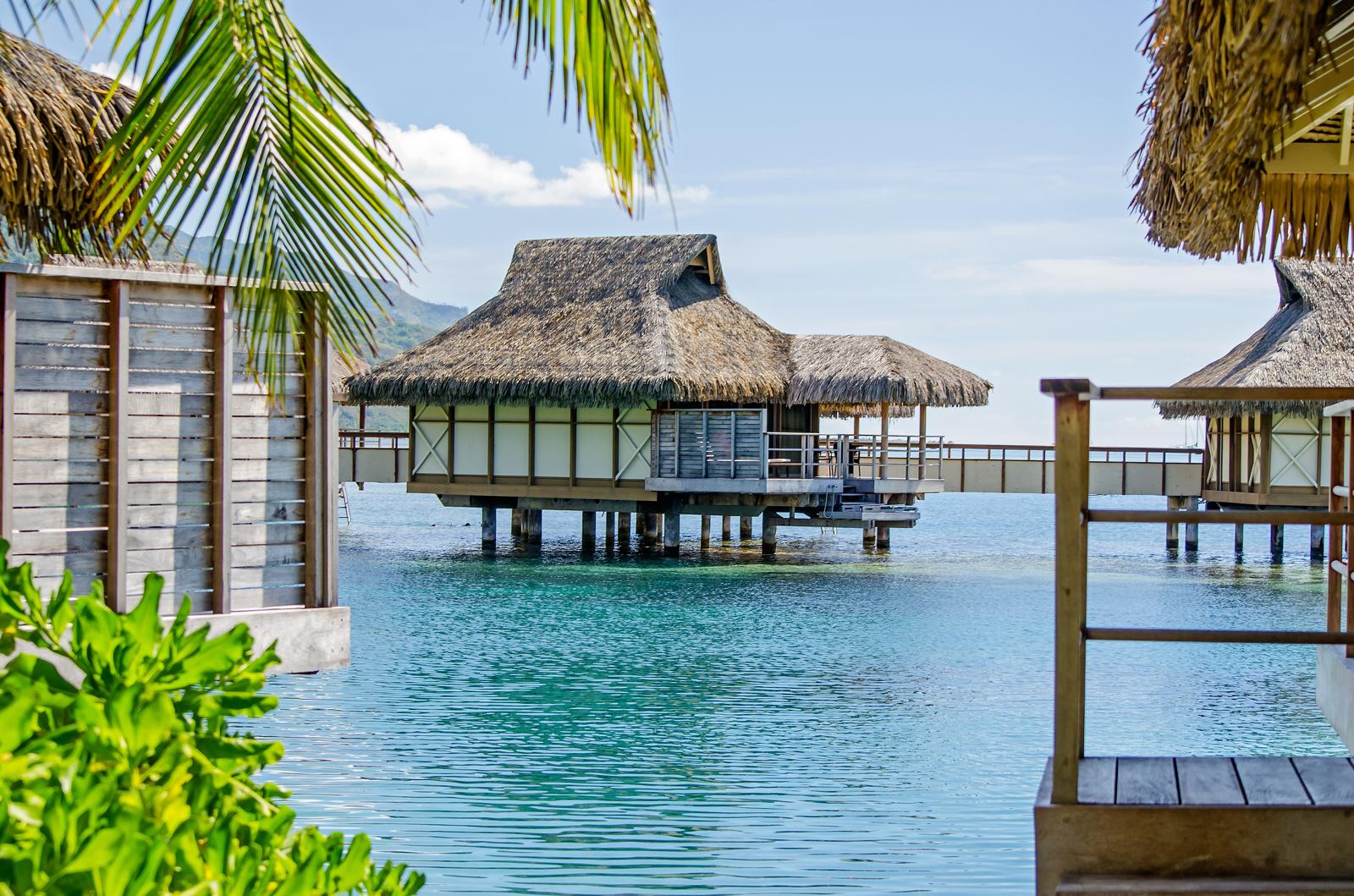 Scopri il momento perfetto per visitare la Polinesia Francese: guida al timing ideale per il tuo paradiso tropicale