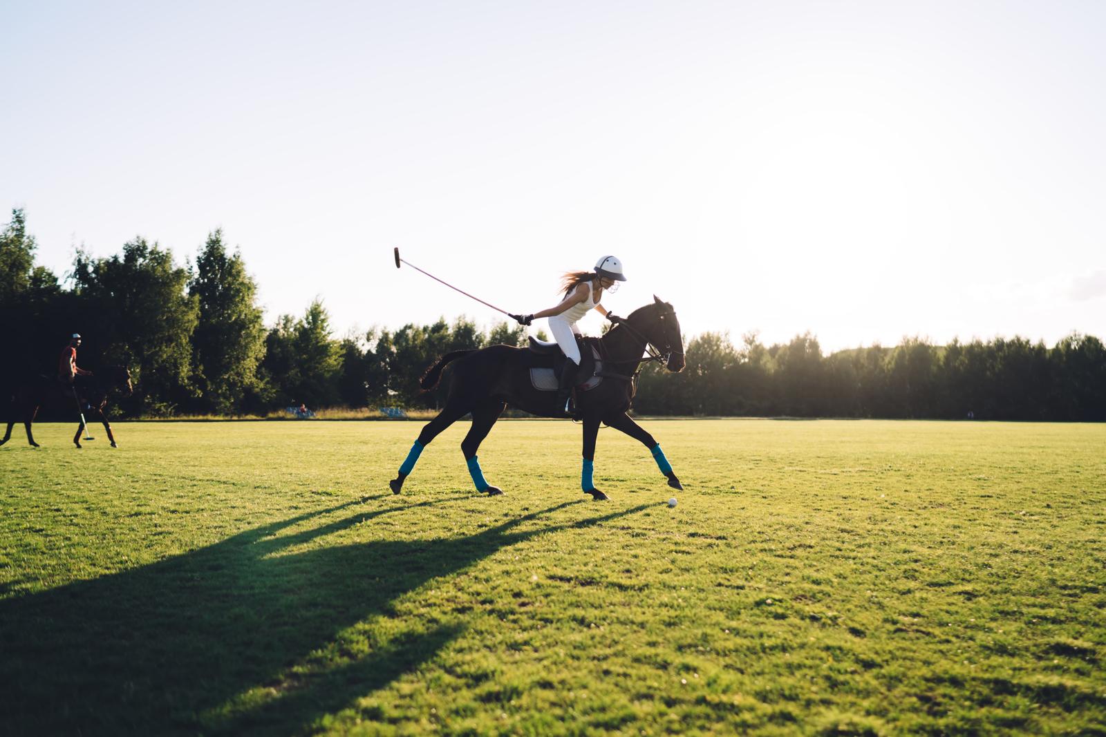 Polo’s Dynamic Rise: The Sport of Kings Accelerates into the Modern Era