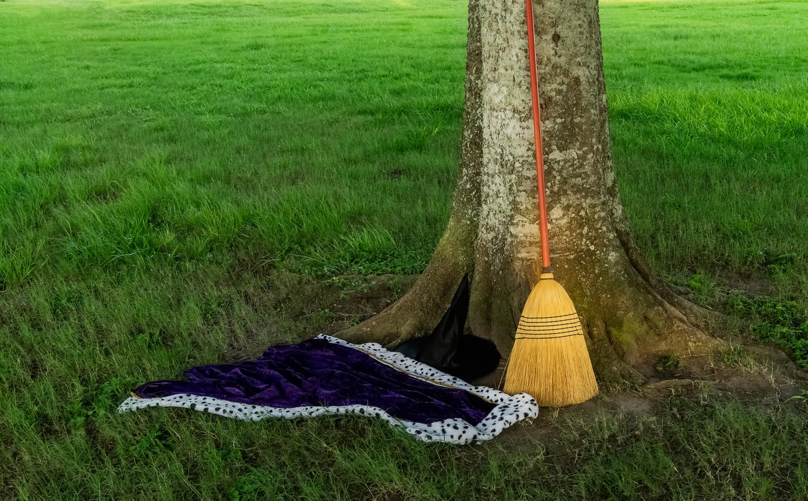 Quidditch Takes Flight: The Rise of a Magical Sport in the Muggle World