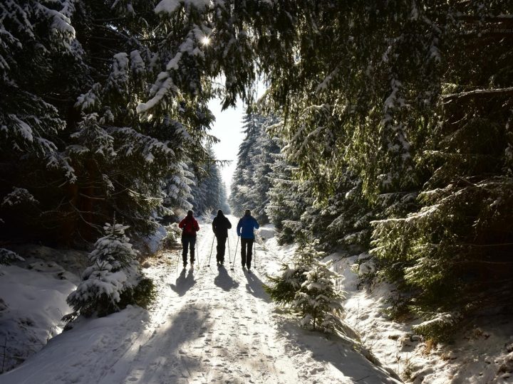 Ski Sensations: Unveiling the Thrills of Winter Sports