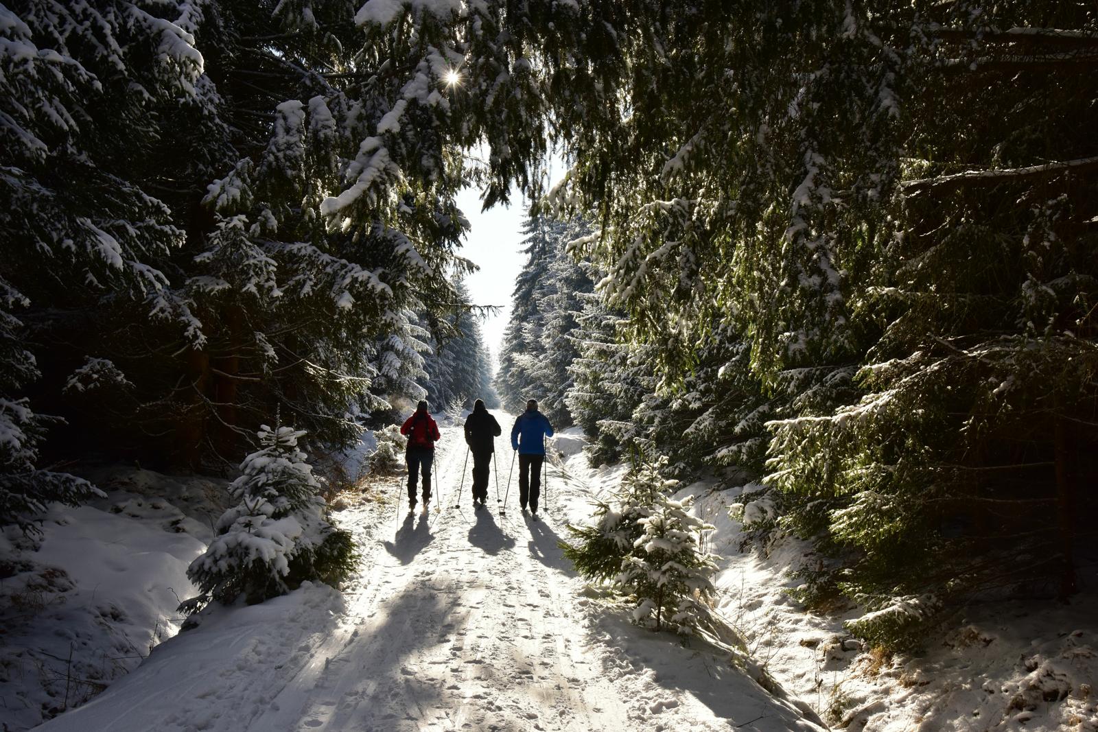 Ski Sensations: Unveiling the Thrills of Winter Sports