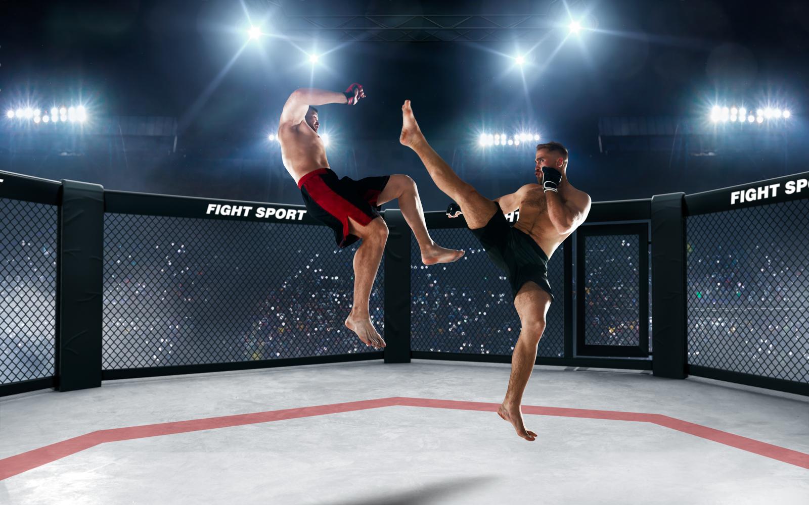 Ultimate Fighting Evolution: The Rise of Mixed Martial Arts as a Global Phenomenon