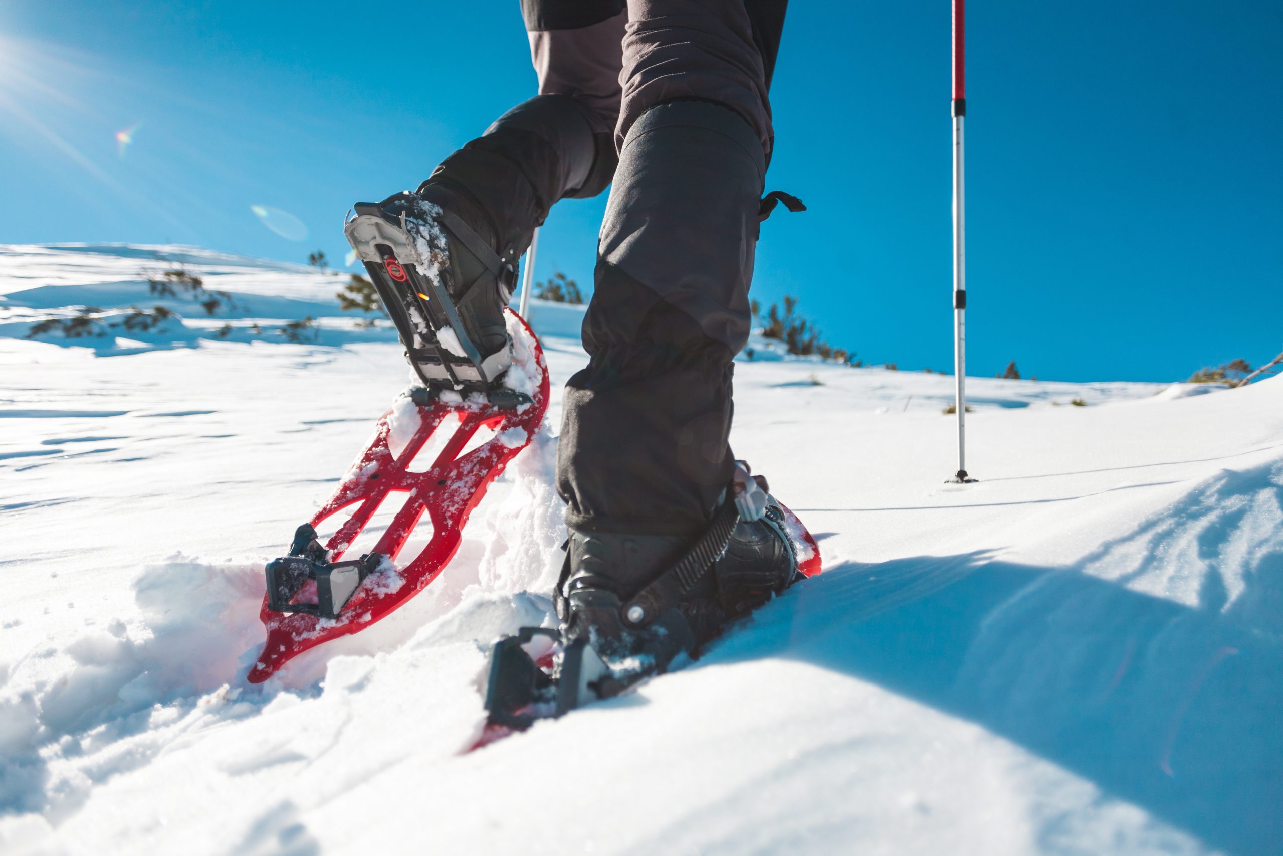 Snowshoeing and breathtaking views: the top trails of the moment